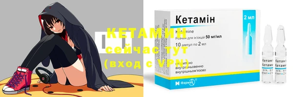 трава Богородицк