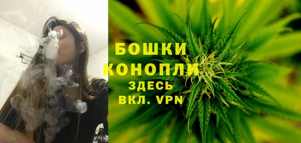 трава Богородицк