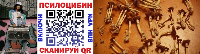 Псилоцибиновые грибы Magic Shrooms Касли